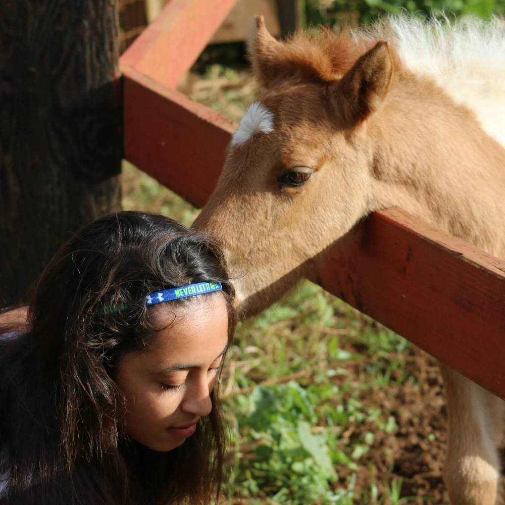 Meet your Posher, Bree